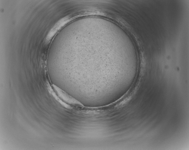 X0000051890985200507081934