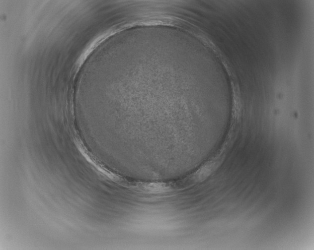 X0000051890986200507081934