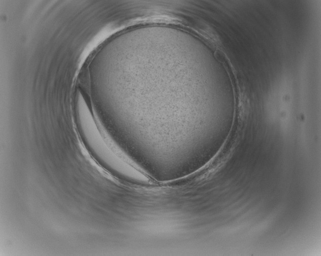 X0000051890989200507081934