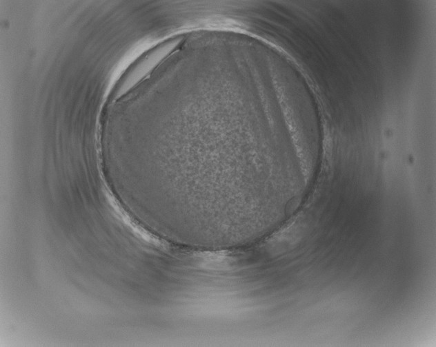 X0000051890990200507081934