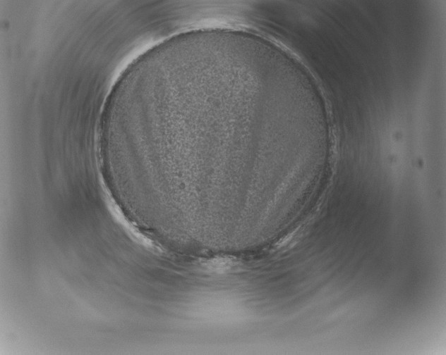 X0000051890991200507081934