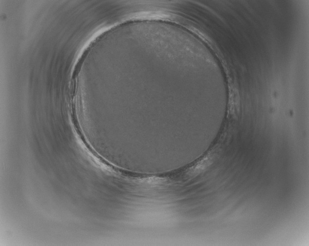 X0000051890992200507081934