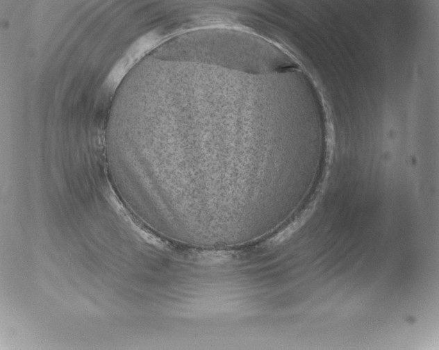 X0000051890993200507081934