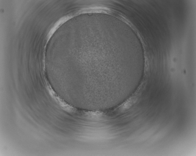 X0000051890994200507081934