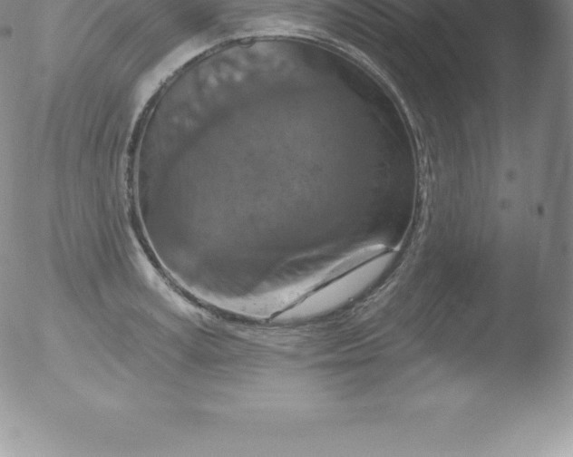 X0000051890995200507081934