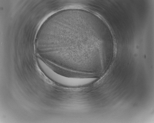 X0000051890996200507081934