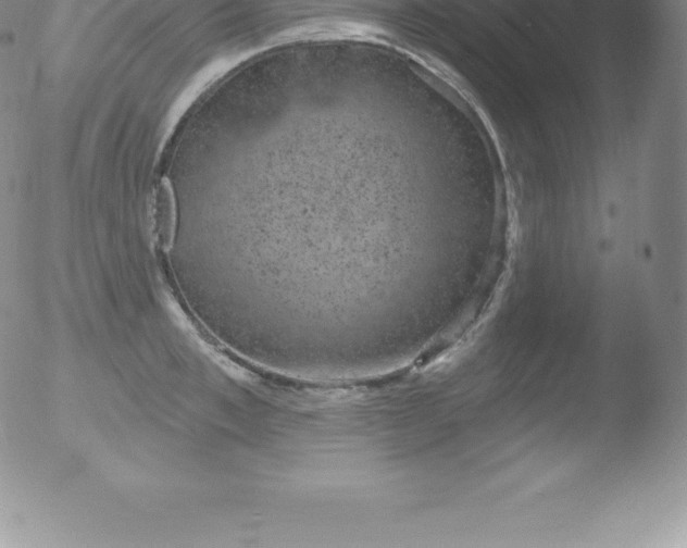 X0000051890997200507081934