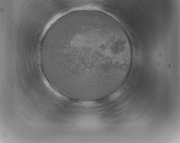 X0000051890998200507081934