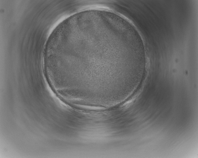 X0000051890999200507081934