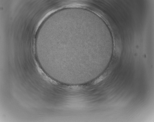 X0000051891000200507081934