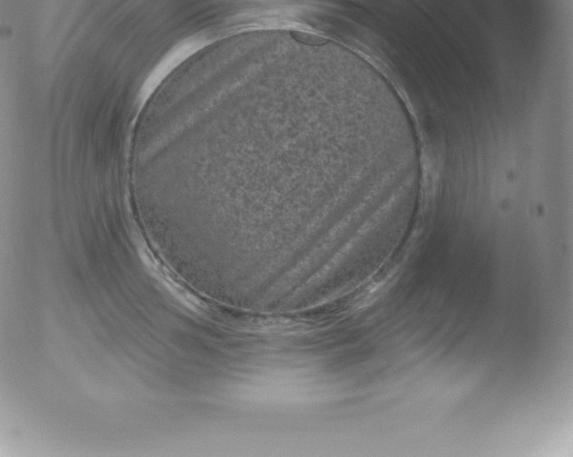 X0000051891002200507081934