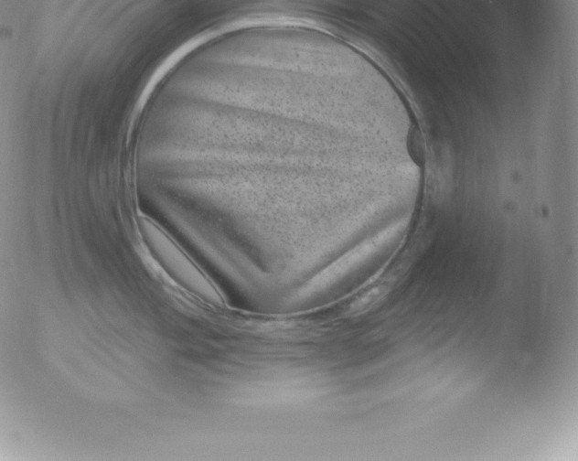 X0000051891004200507081934