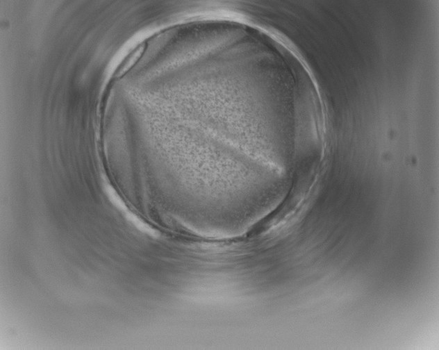 X0000051891005200507081934