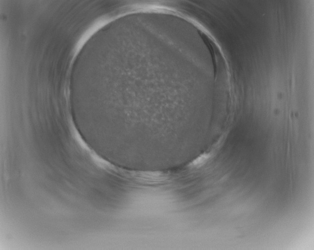 X0000051891007200507081934