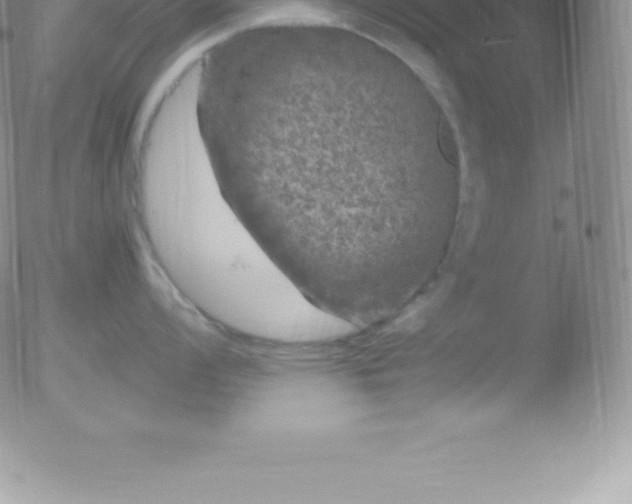 X0000051891008200507081934