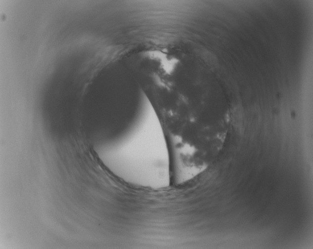 X0000051891009200507081933