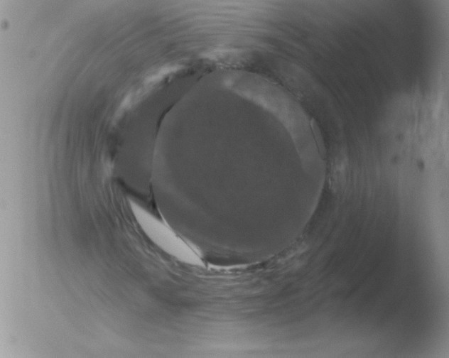 X0000051891010200507081933