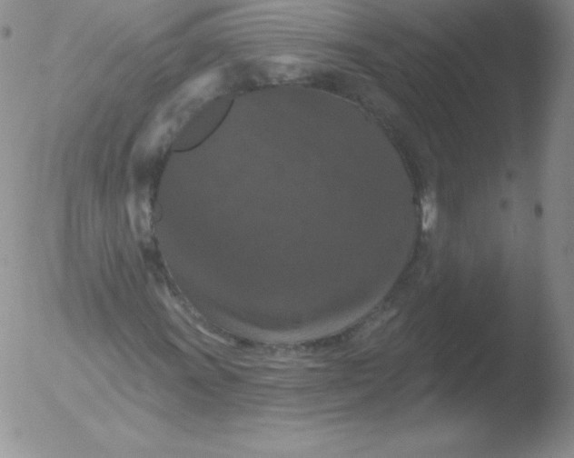 X0000051891011200507081933