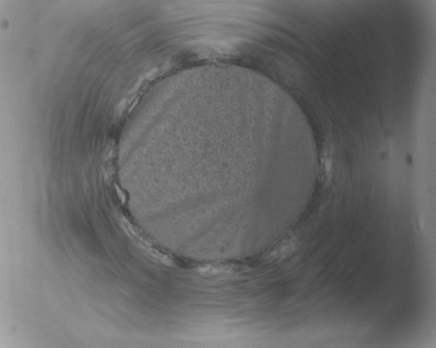 X0000051891012200507081933