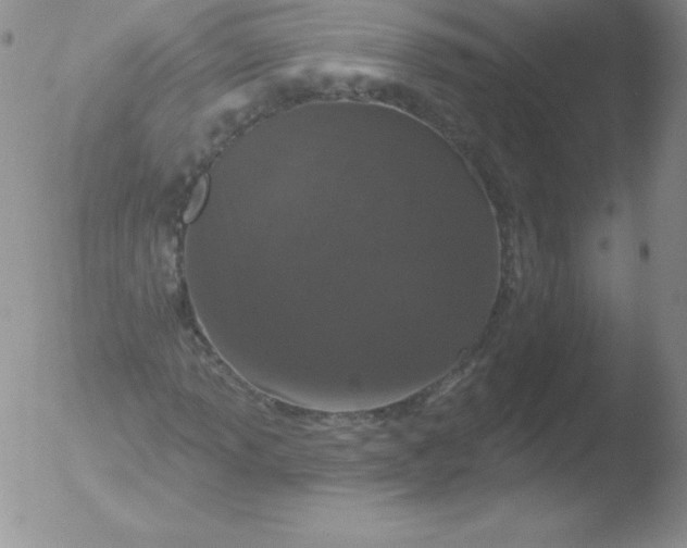 X0000051891013200507081933