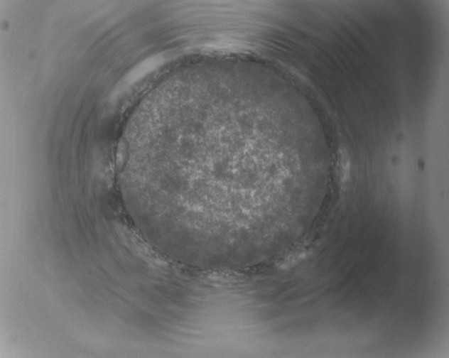 X0000051891015200507081933