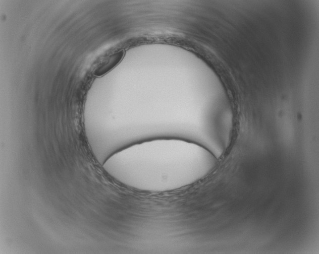 X0000051891016200507081933