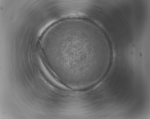 X0000051891018200507081933