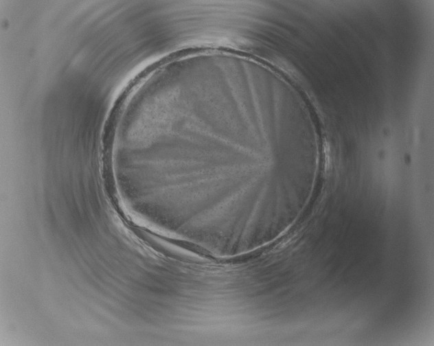 X0000051891020200507081933