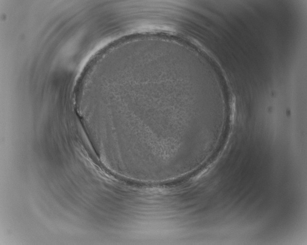 X0000051891021200507081933