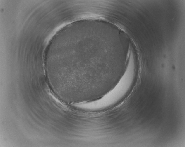 X0000051891022200507081933