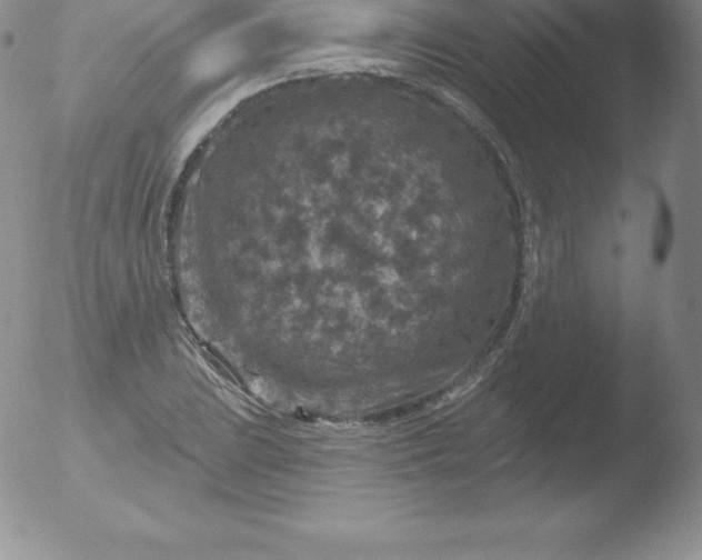 X0000051891023200507081933