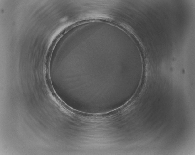 X0000051891024200507081933