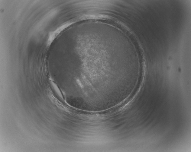 X0000051891025200507081933