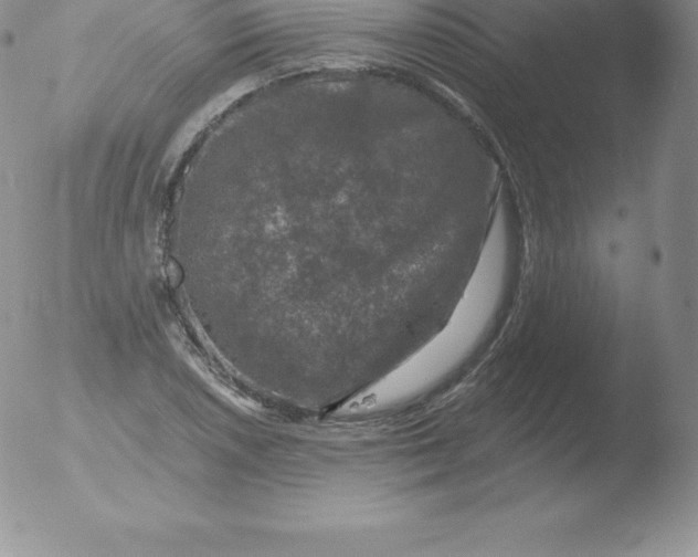 X0000051891026200507081933