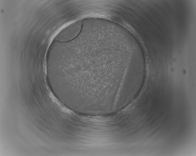 X0000051891028200507081933