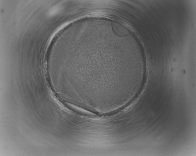 X0000051891029200507081933