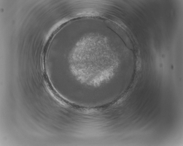 X0000051891030200507081933