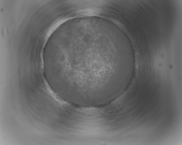 X0000051891031200507081933