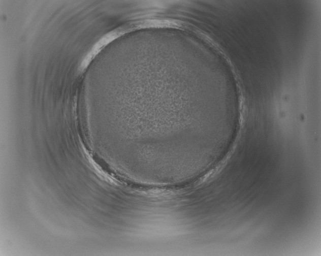 X0000051891033200507081933