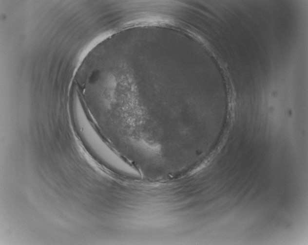 X0000051891034200507081933