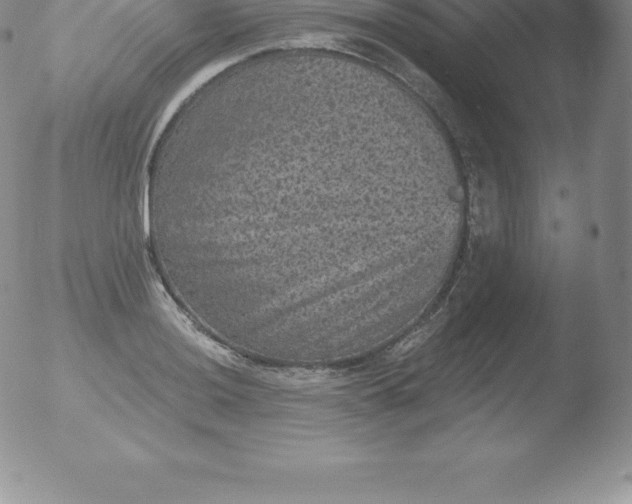 X0000051891036200507081933