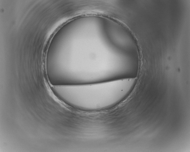 X0000051891038200507081933