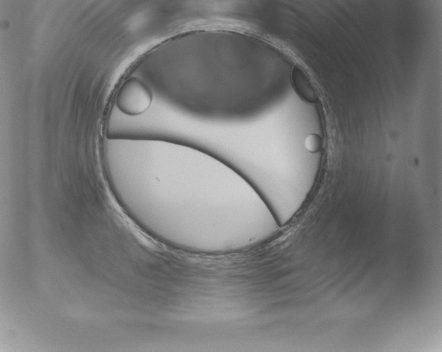 X0000051891040200507081933