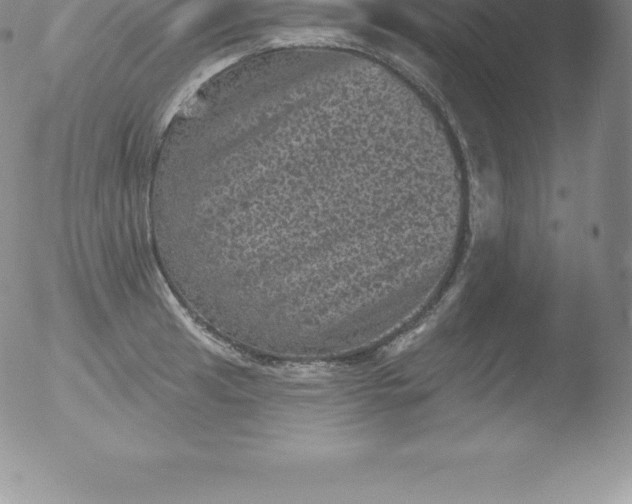 X0000051891041200507081934