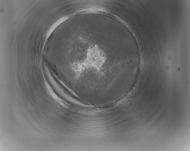 X0000051891042200507081934