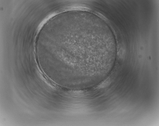 X0000051891043200507081934