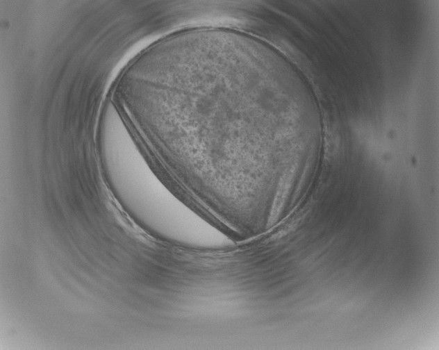 X0000051891044200507081934