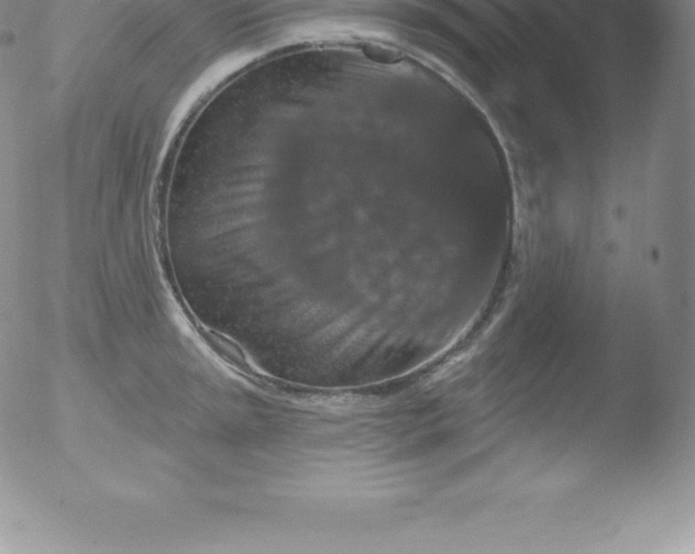 X0000051891045200507081934