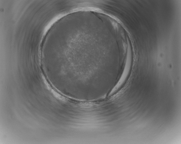 X0000051891046200507081934