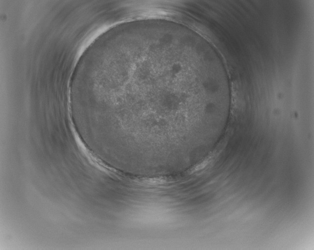 X0000051891047200507081934